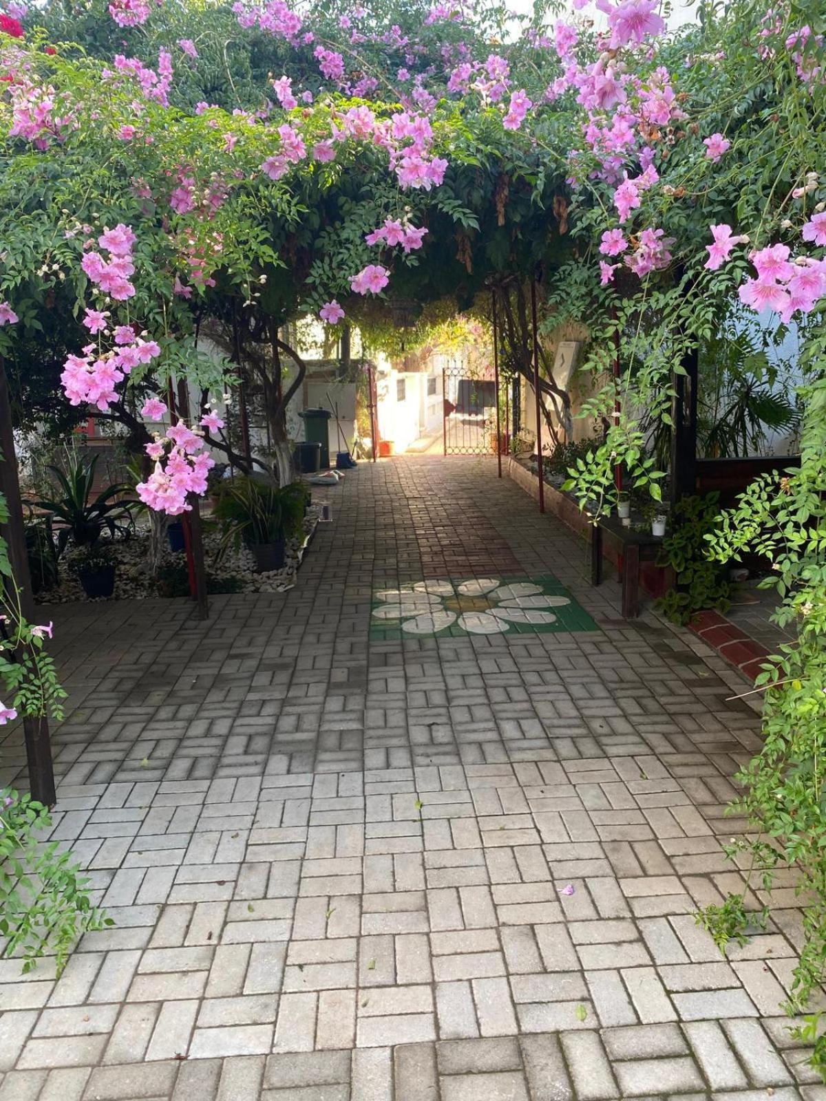 بيت الضيافة بيتول فاماغوستا المظهر الخارجي الصورة